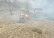Un incendiu de vegetație a distrus 35 de hectare de vegetație uscată, lăstăriș, mărăciniș, și 200 de metri de cabluri electrice