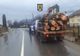 Sancționat de polițiști pentru transport ilegal de material lemnos