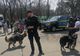 VIDEO: Mascaţi, arme, câini poliţişti, maşini, motociclete și toate au putut fi admirate azi, 25 martie, de sute de buzoieni, cu prilejul Zilei Poliţiei Române